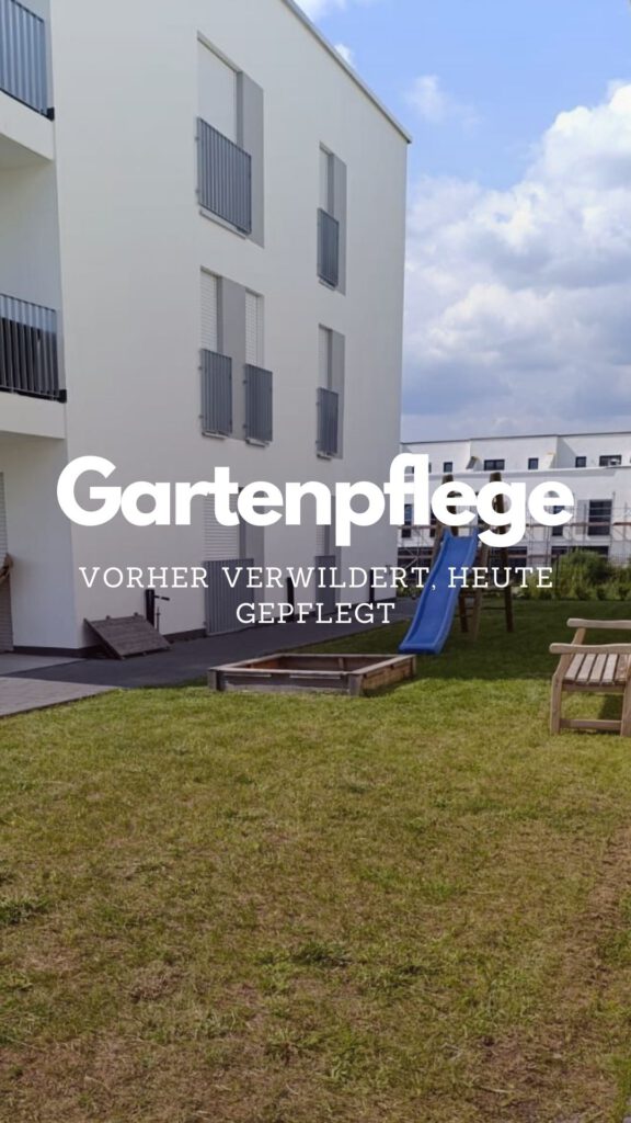 Gartenpflege: Vorher verwildert, heute gepflegt